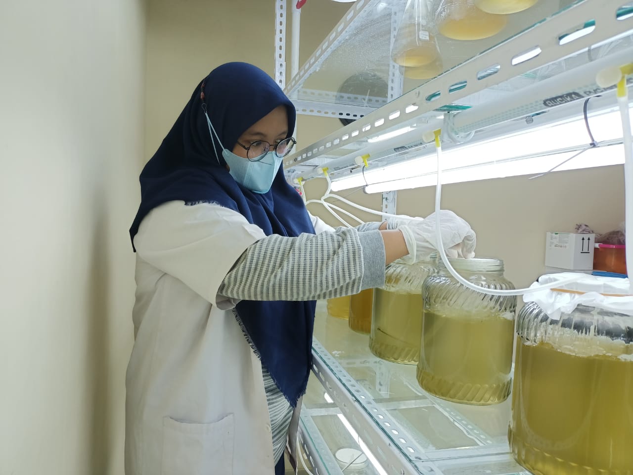 UNAIR to mass-produce Artemia and salt simultaneously